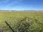Pocatello Real Estate - MLS #579601 - Photograph #43