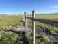 Pocatello Real Estate - MLS #579601 - Photograph #48