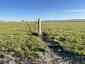 Pocatello Real Estate - MLS #579601 - Photograph #50