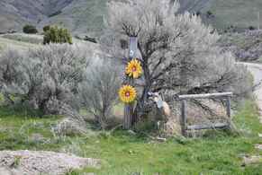Pocatello Real Estate - MLS #579602 - Photograph #1