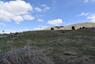 Pocatello Real Estate - MLS #579602 - Photograph #4
