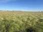 Pocatello Real Estate - MLS #579603 - Photograph #31