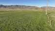 Pocatello Real Estate - MLS #579603 - Photograph #15