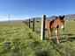 Pocatello Real Estate - MLS #579603 - Photograph #24