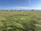 Pocatello Real Estate - MLS #579603 - Photograph #26
