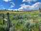 Pocatello Real Estate - MLS #579605 - Photograph #2