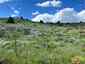 Pocatello Real Estate - MLS #579605 - Photograph #5
