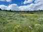 Pocatello Real Estate - MLS #579605 - Photograph #6