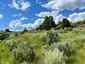 Pocatello Real Estate - MLS #579605 - Photograph #14
