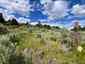 Pocatello Real Estate - MLS #579605 - Photograph #15
