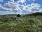 Pocatello Real Estate - MLS #579606 - Photograph #21
