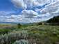 Pocatello Real Estate - MLS #579606 - Photograph #24