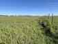 Pocatello Real Estate - MLS #579609 - Photograph #36