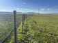 Pocatello Real Estate - MLS #579609 - Photograph #37