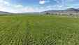 Pocatello Real Estate - MLS #579609 - Photograph #5