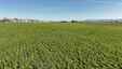 Pocatello Real Estate - MLS #579609 - Photograph #26