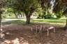 Pocatello Real Estate - MLS #579704 - Photograph #36
