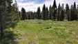 Pocatello Real Estate - MLS #579708 - Photograph #2
