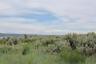 Pocatello Real Estate - MLS #579722 - Photograph #2