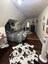 Pocatello Real Estate - MLS #579758 - Photograph #12