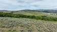 Pocatello Real Estate - MLS #579777 - Photograph #29