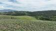 Pocatello Real Estate - MLS #579777 - Photograph #32