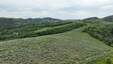 Pocatello Real Estate - MLS #579777 - Photograph #33