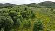 Pocatello Real Estate - MLS #579777 - Photograph #36