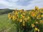 Pocatello Real Estate - MLS #579777 - Photograph #37