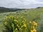 Pocatello Real Estate - MLS #579777 - Photograph #6