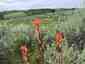 Pocatello Real Estate - MLS #579777 - Photograph #10