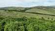 Pocatello Real Estate - MLS #579777 - Photograph #25