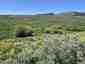 Pocatello Real Estate - MLS #579845 - Photograph #31