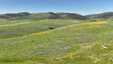 Pocatello Real Estate - MLS #579845 - Photograph #37