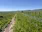Pocatello Real Estate - MLS #579845 - Photograph #41