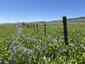 Pocatello Real Estate - MLS #579845 - Photograph #42