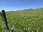 Pocatello Real Estate - MLS #579845 - Photograph #43