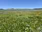 Pocatello Real Estate - MLS #579845 - Photograph #44