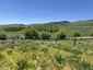 Pocatello Real Estate - MLS #579845 - Photograph #4