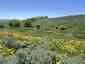 Pocatello Real Estate - MLS #579845 - Photograph #5