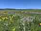 Pocatello Real Estate - MLS #579845 - Photograph #10
