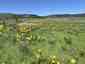 Pocatello Real Estate - MLS #579845 - Photograph #11