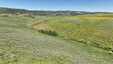 Pocatello Real Estate - MLS #579845 - Photograph #14