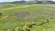 Pocatello Real Estate - MLS #579845 - Photograph #17