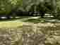 Pocatello Real Estate - MLS #579872 - Photograph #4