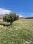 Pocatello Real Estate - MLS #579876 - Photograph #19