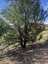 Pocatello Real Estate - MLS #579876 - Photograph #21