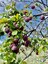 Pocatello Real Estate - MLS #579876 - Photograph #26