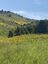Pocatello Real Estate - MLS #579876 - Photograph #27