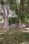Pocatello Real Estate - MLS #579926 - Photograph #31